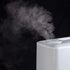 ION 90 - Ionmax Ultrasonic Cool and Warm Mist Humidifier